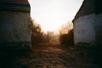 From the series "It Was Once My Universe" | DER GREIF