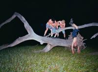 "Headbashers", 2025 | DER GREIF