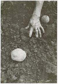 Nesie Junyi Wang, etching print 2, The Hague, NLD, 2024 | DER GREIF