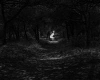 Untitled | DER GREIF