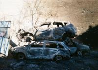 Photo by Viktor Holikov | DER GREIF