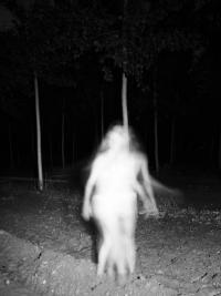 Untitled from the series "Mezzaluce" | DER GREIF