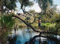 "Creek", Florida, United States, 2024 | DER GREIF