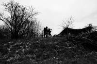 The Quiet Rise | DER GREIF