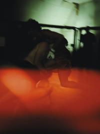 "Fight", from "American Beef" | DER GREIF
