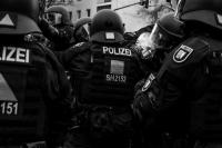 The Quiet Rise | DER GREIF