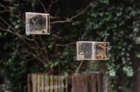 Microbial Landscape 2; 3; 5, Installation View | DER GREIF