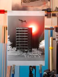 Bright Sun Shining | DER GREIF