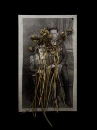 Untitled (Great Grandparents), Electrostatic Print and Dandelion, thought to be brought to The Americas on the Mayflower, 2025 | DER GREIF