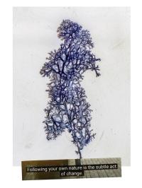 "Rhizome" | DER GREIF