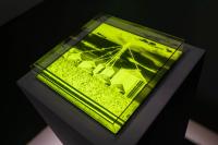 Kaya & Blank, Installation view from "Bloom" | DER GREIF