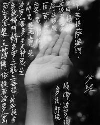 Untitled | DER GREIF