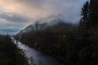 From the series "The River Ran Black" | DER GREIF