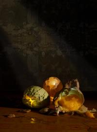 Glenna Jennings and Jalisa Robinson, from the series "The Price of Eggs" | DER GREIF