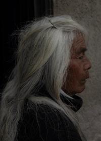 DER GREIF