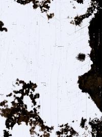 Emilie Jacqueline Black, 16mm detail, Kjipuktuk (Halifax, NS), CAN, 2024 | DER GREIF