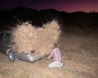 "Behind II", Coahuila, Mexico, 2025 | DER GREIF