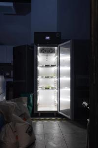 "Phytotron in the laboratory", Katowice, Poland, 2025 | DER GREIF