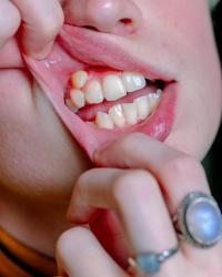 Image from “Dead Trees Speak to Me” photobook by Tabitha Barnard | DER GREIF