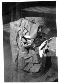 Let Your Eyes Dance | DER GREIF