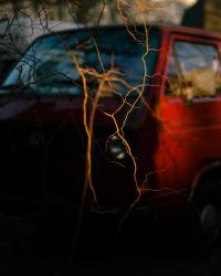 From recent walks | DER GREIF