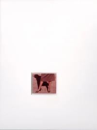 "Mat Fragment 6" from the series "Hello Goodbye," New York, USA, 2026 | DER GREIF