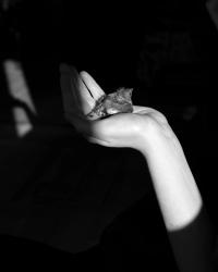 Untitled, Tbilisi, Georgia | DER GREIF