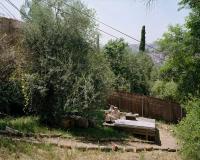 "Love and Ollie Reading" | DER GREIF