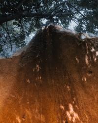 Somewhere Less Than Heaven | DER GREIF