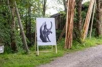 Outdoor Visual Storytelling by Der Greif Studio | DER GREIF