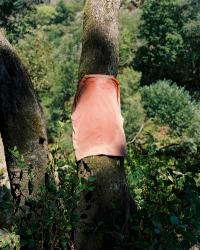 Gonçalo C. Silva, "Shirt", Portugal, 2022 | DER GREIF