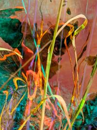 © Andrea Grützner | DER GREIF