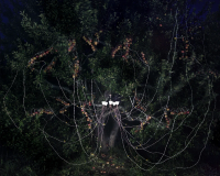 © Caleb Charland in "The Haunted" | DER GREIF