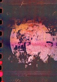 "Bulletin Board," C-Print, 102 x 72 cm, 2023 | DER GREIF