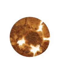 From the series "Why does the moon follow us everywhere we go?" | DER GREIF