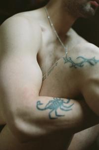 "Willem" | DER GREIF