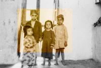 © Thana Faroq | DER GREIF