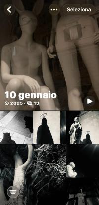 "Function: Archive_Shots of the Day" from the series "Minor Folklore for a Camera Roll", Trieste, Italy, 2025 | DER GREIF