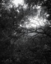 Somewhere Less Than Heaven B-Side | DER GREIF