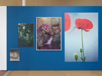 Works by (L to R): Bernard Tullen, Berit Schneidereit, Yann Gross, Hilla Kurki. Photo: Annik Wetter | DER GREIF