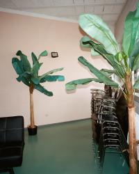 "Inside the halls of Temple Road" | DER GREIF