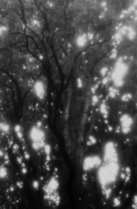 "Map of Time" | DER GREIF