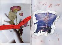 From the series "Dreams and Thorns", Malyn, Ukraine, 2024 | DER GREIF