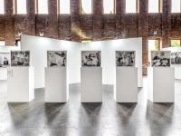 "Tenacity (n.): the determination to continue" installation view | DER GREIF