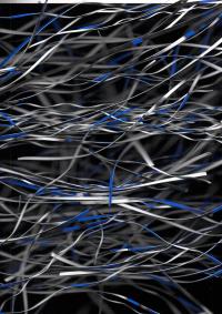 Aldo Iram Juárez, 230823 (scan 12), Mexico City, MEX, 2023 | DER GREIF