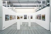 fata morgana | DER GREIF