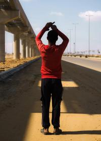 fata morgana | DER GREIF