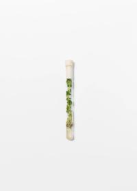 From the series "Vorwiegend festkochend / Sprouts & Skins" | DER GREIF