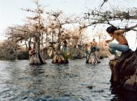 "Sirens", 2025 | DER GREIF