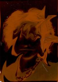 Untitled | DER GREIF